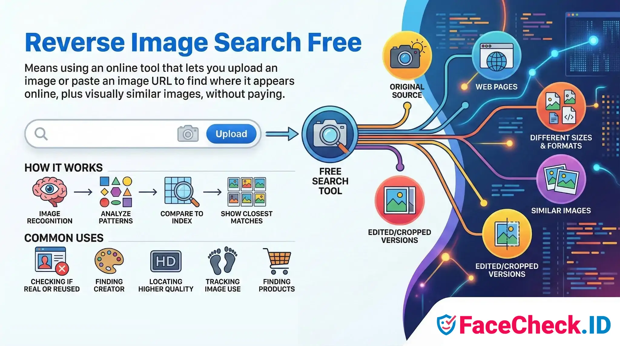Infographic explaining Reverse Image Search Free, illustrating the process of uploading a photo to find original sources, web pages, and similar images.