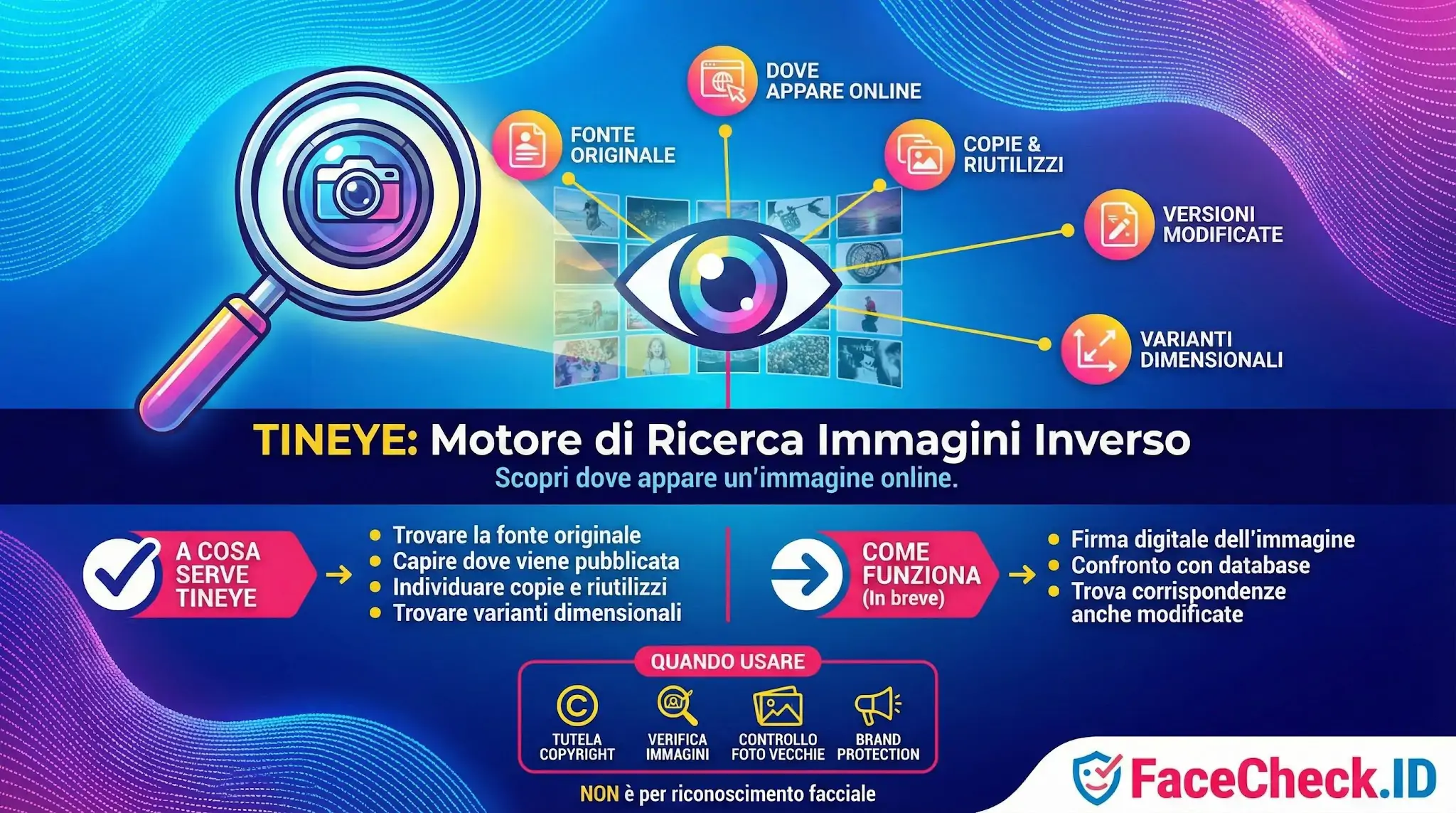 Infografica su TinEye: motore di ricerca immagini inverso per trovare fonti originali, copie online e tutelare il copyright.