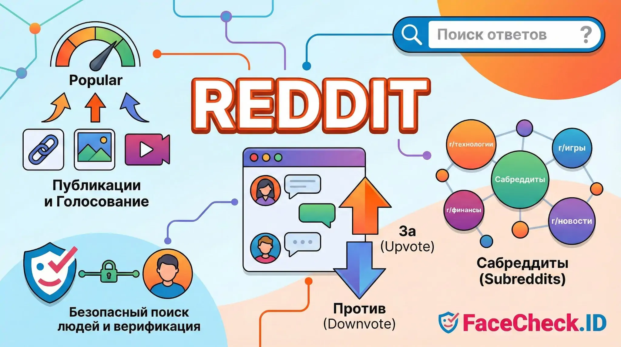 Инфографика о структуре Reddit: публикации и голосование, система сабреддитов, рейтинг (Upvote/Downvote) и безопасный поиск людей с верификацией.