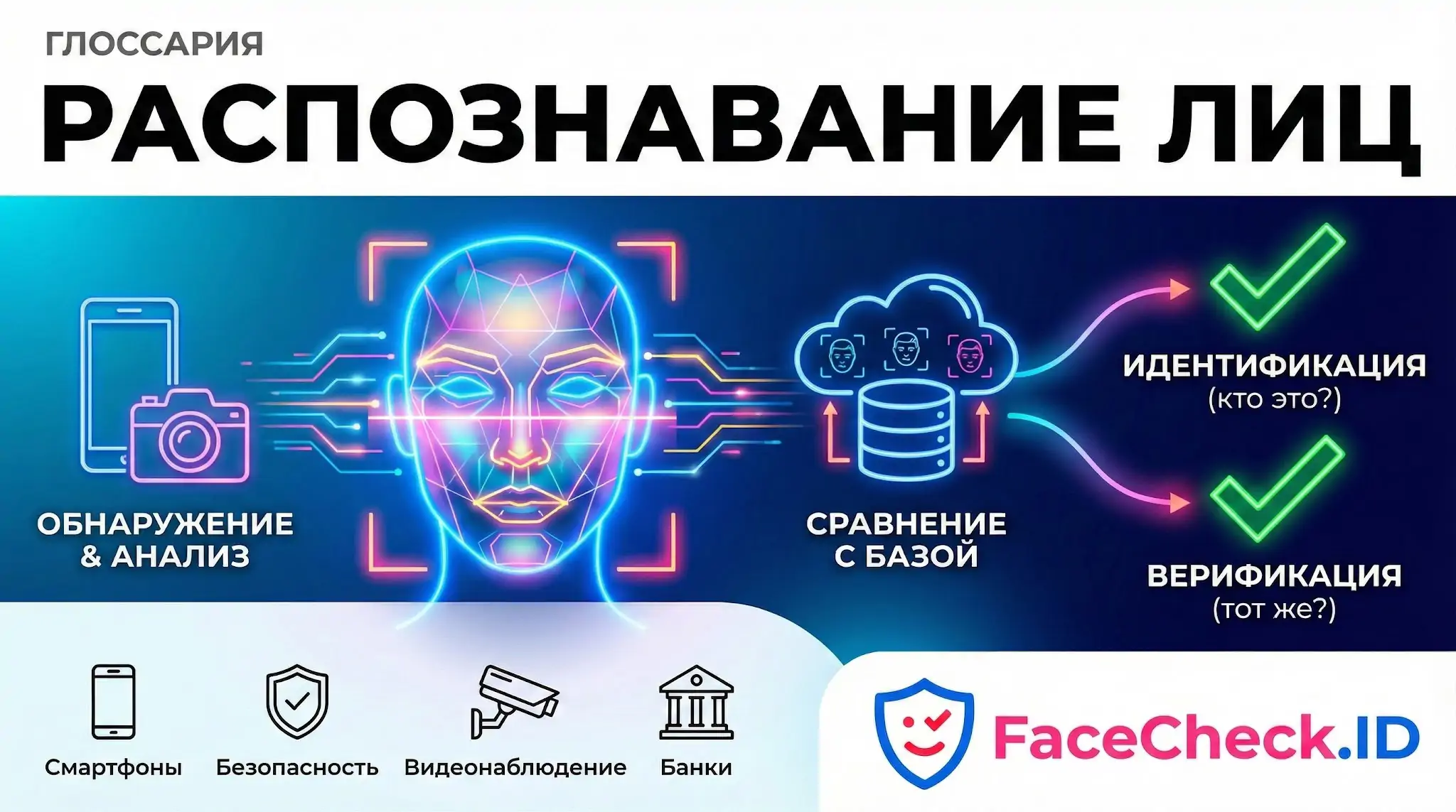 Инфографика Распознавание Лиц: этапы от обнаружения и анализа до сравнения с базой данных для идентификации и верификации личности.