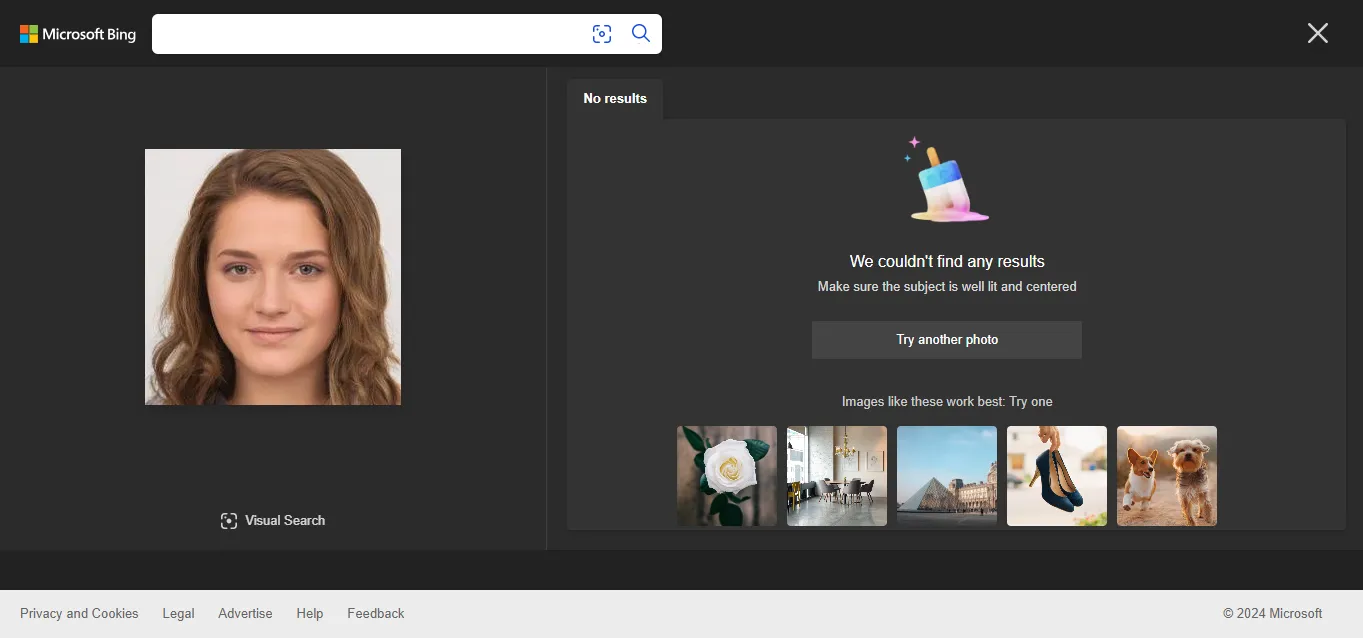 Display showing no match found on Bing Images