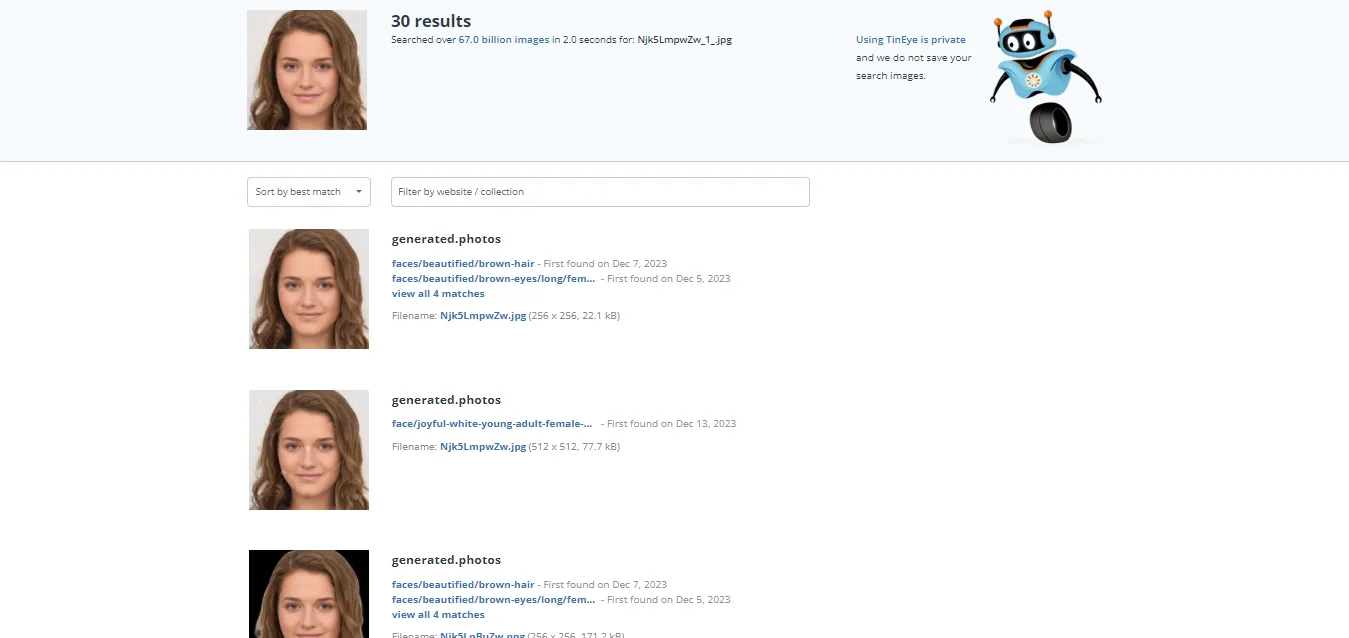 TinEye image search results display